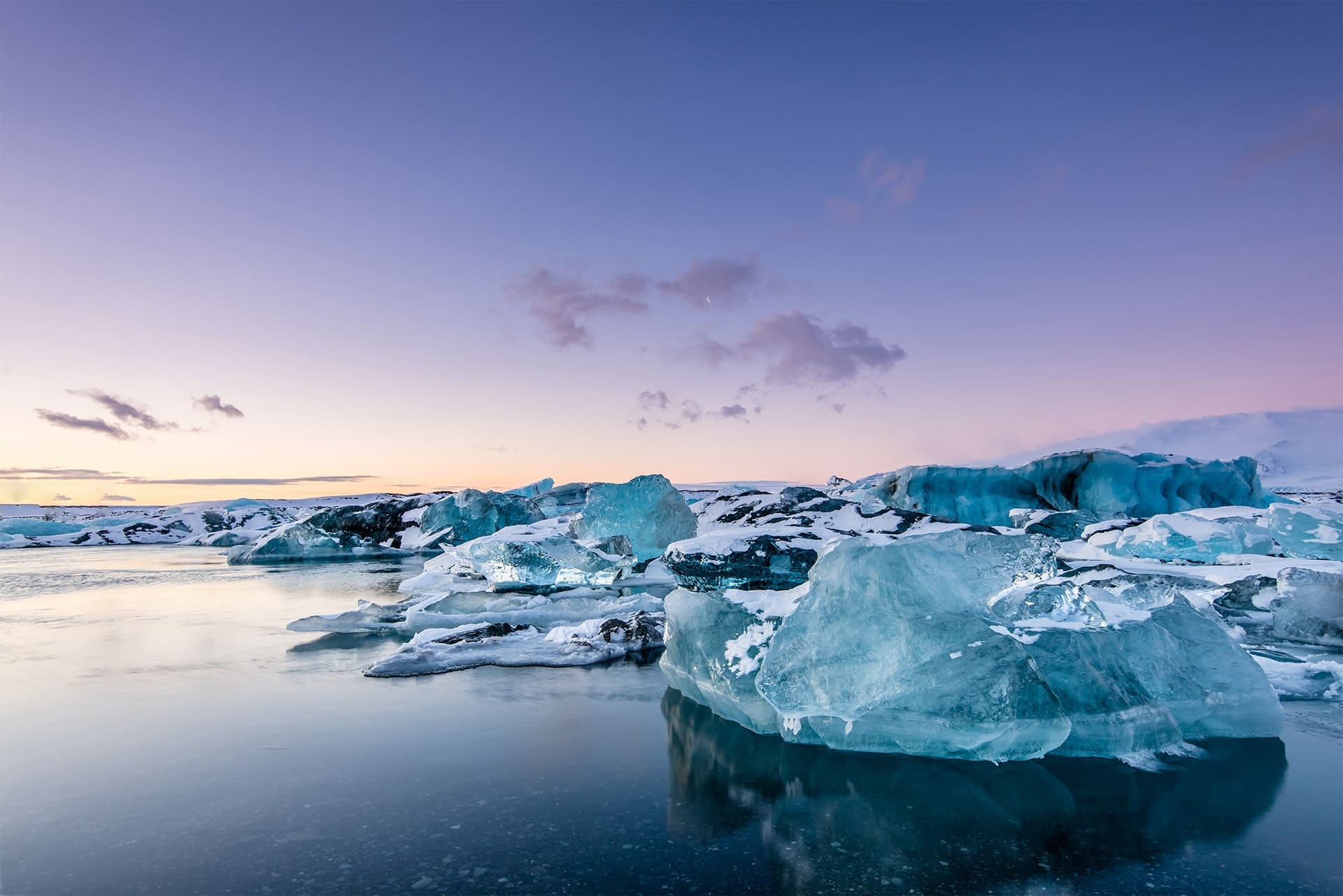 タイトルダミーテキスト